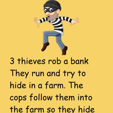 3 Thieves Rob A Bank