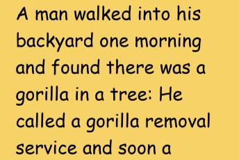 A Gorilla In A Tree