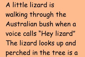 A Little Lizard Is Walking Through The Bush