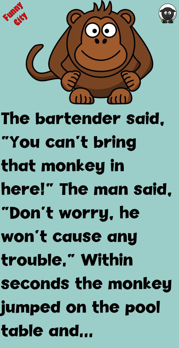 A MAN WALKED INTO A BAR WITH HIS PET MONKEY Funnycity