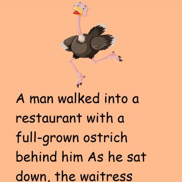 A Man Walked Into A Restaurant With Ostrich Behind Him