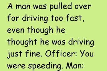 A Man Was Pulled Over For Driving