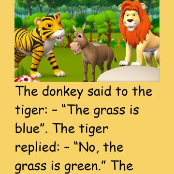 Donkey And Tiger