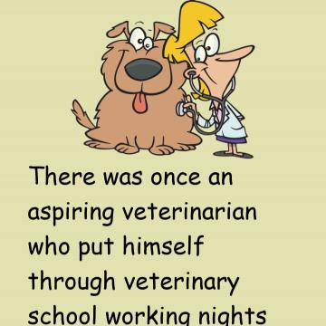 Honest Veterinarian