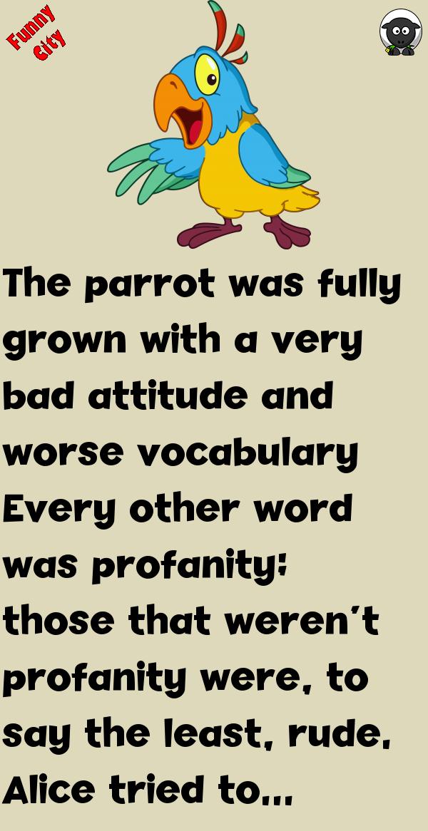 JOKE: THE PARROT WAS FULLY GROWN WITH A VERY BAD ATTITUDE Funnycity