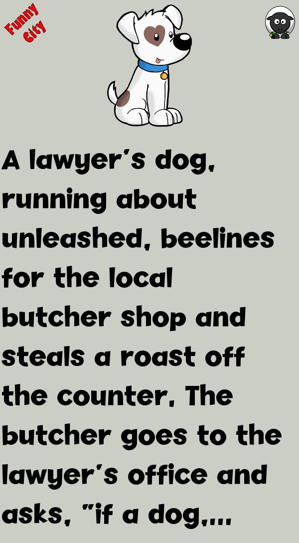 lawyer-s-dog-funnycity