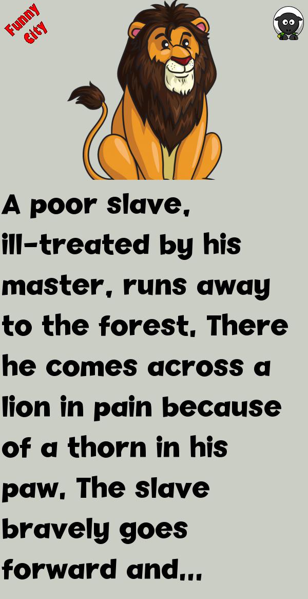 STORY: LION AND THE POOR SLAVE Funnycity