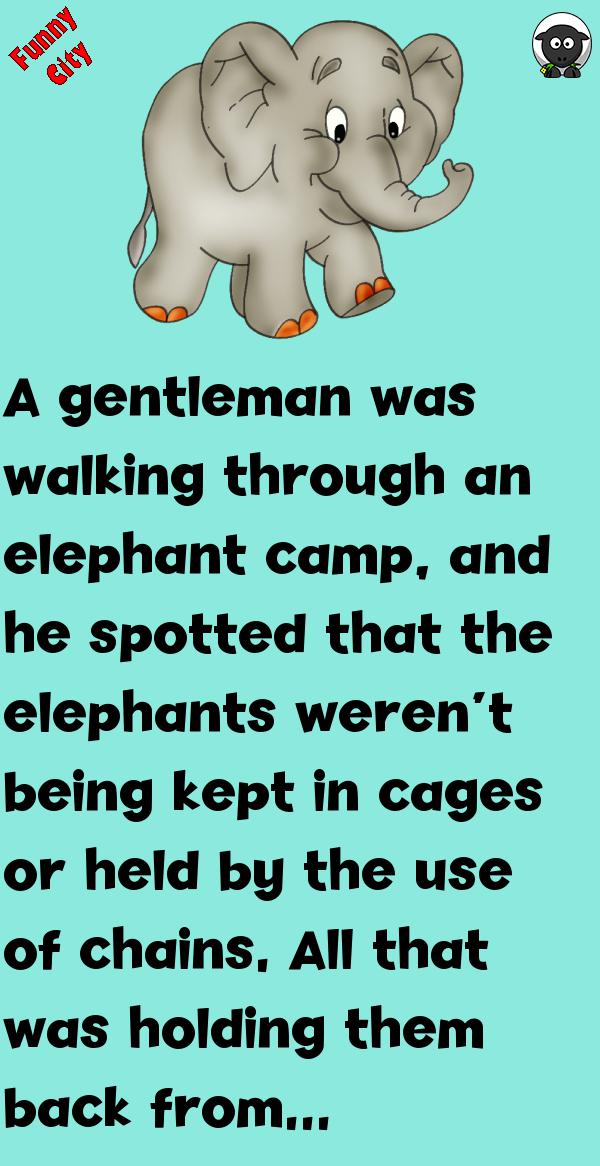 STORY: THE ELEPHANT ROPE Funnycity