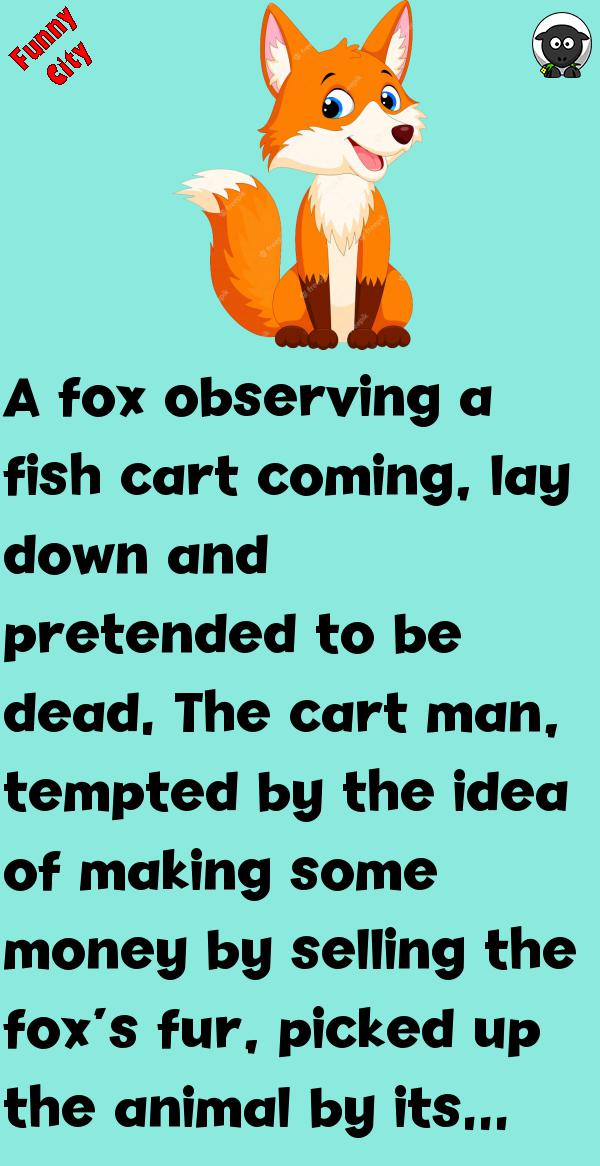 STORY: THE FOX IN A CART Funnycity