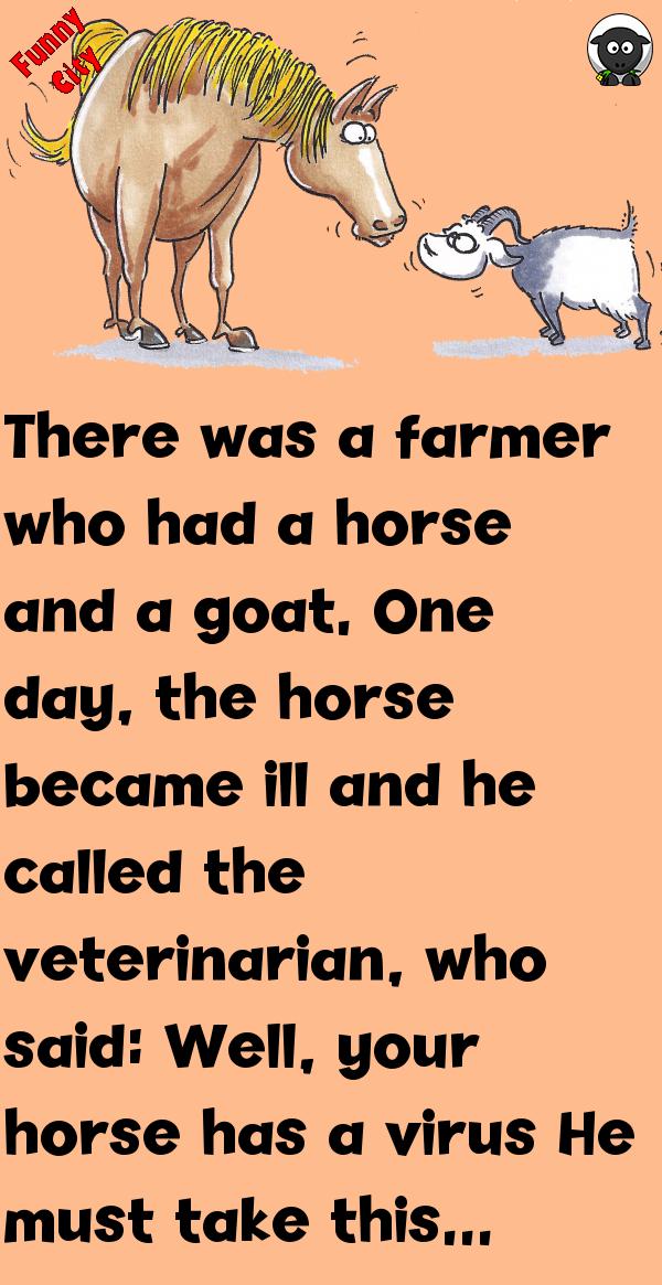 THE GOAT AND THE HORSE STORY Funnycity