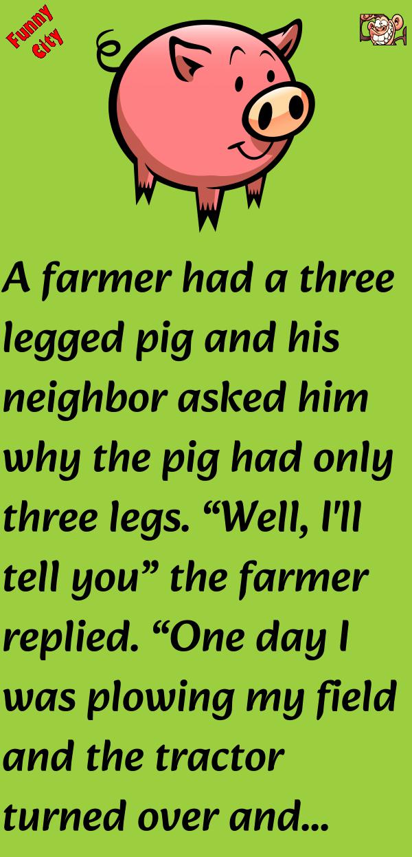 THREE LEGGED PIG Funnycity